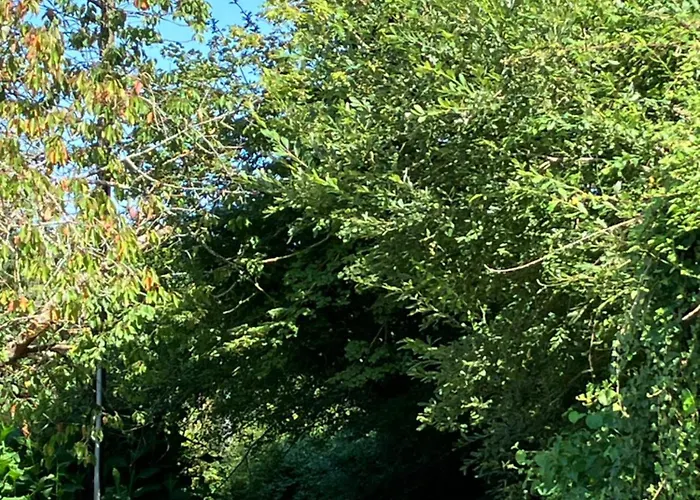 Haixpia Campismo de Luxo